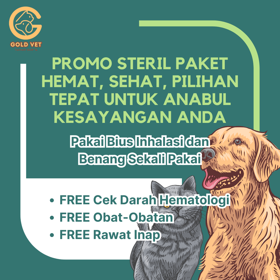 Ilustrasi Promo Steril Kucing dan Anjing